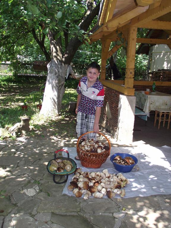 Guesthouse U Deda Viktora Yaremche Exterior foto