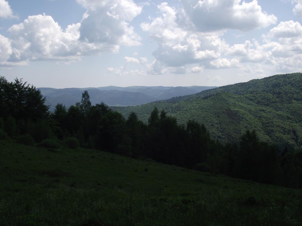 Guesthouse U Deda Viktora Yaremche Exterior foto
